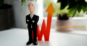 How to Grow a Small Business Fast
